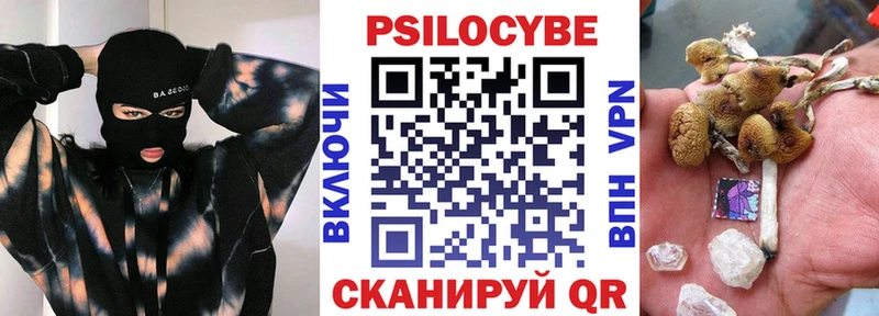 купить  сайты  OMG вход  Псилоцибиновые грибы Cubensis  Старица 