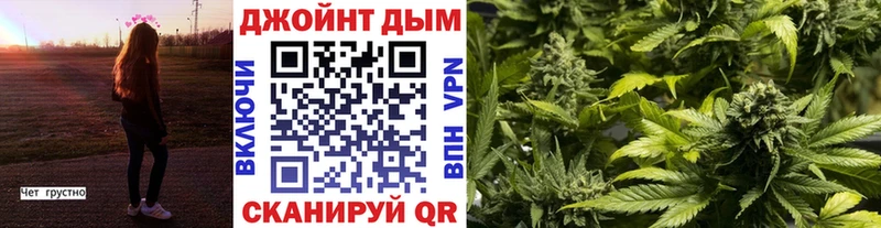 Бошки марихуана OG Kush  Старица 